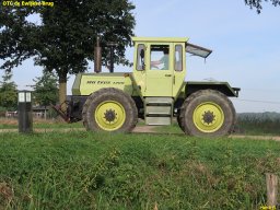 ws 243